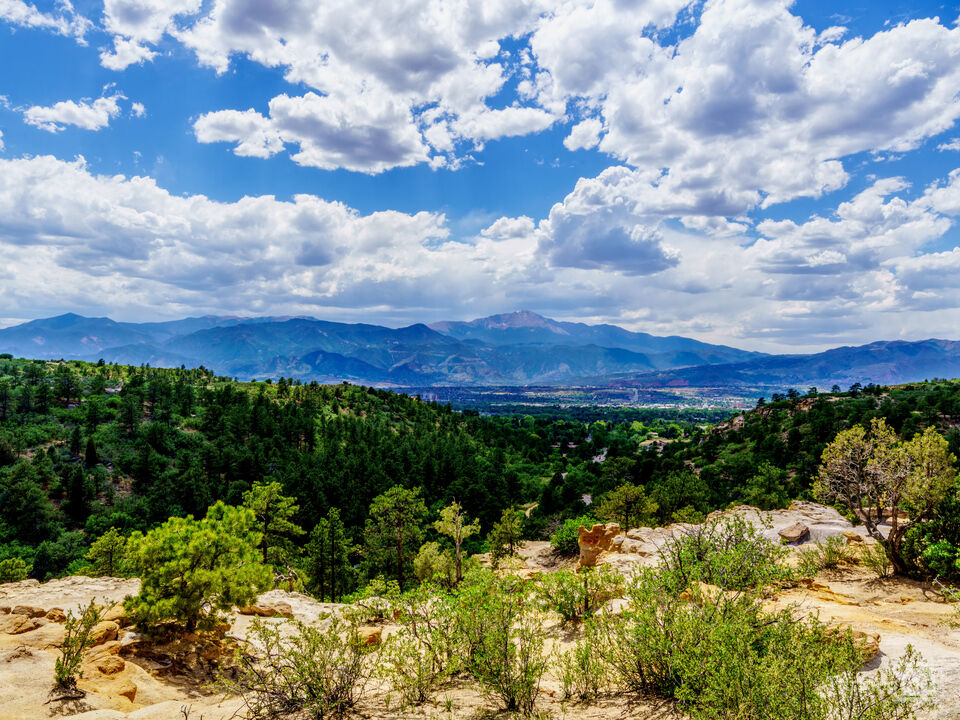 Palmer Park Pikes Peak Vista