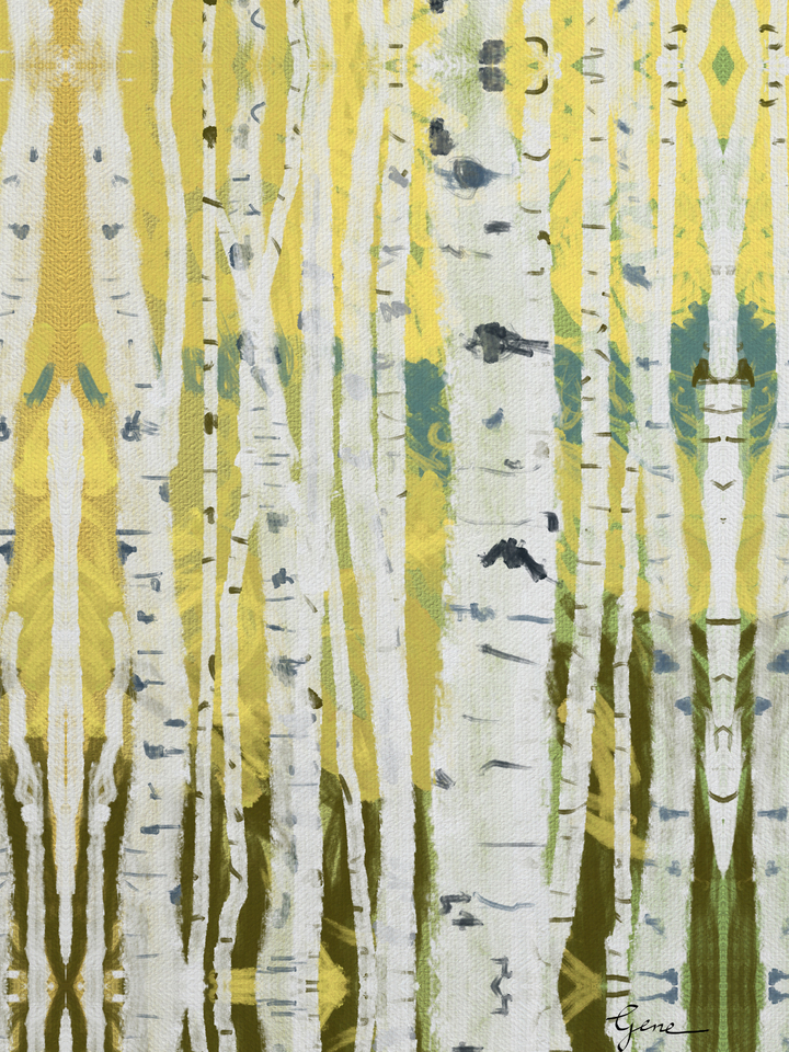 Birches VI