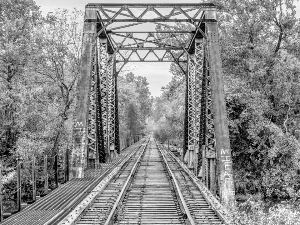Autumn Railroad Crossing At Lake Springfield Grayscale