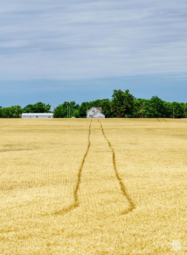 Kansas Wheat Field Farm Tracks Home