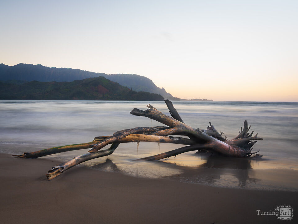 Whispers of the Tide