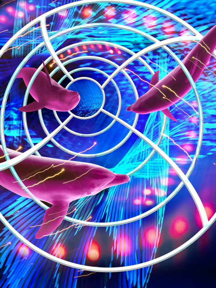 Maybe It Was Just A Dream