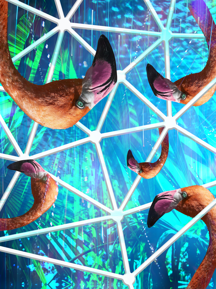 Before We Fall Through