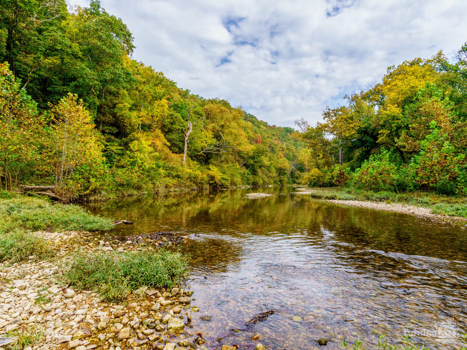 Spring Creek Waters Autumn