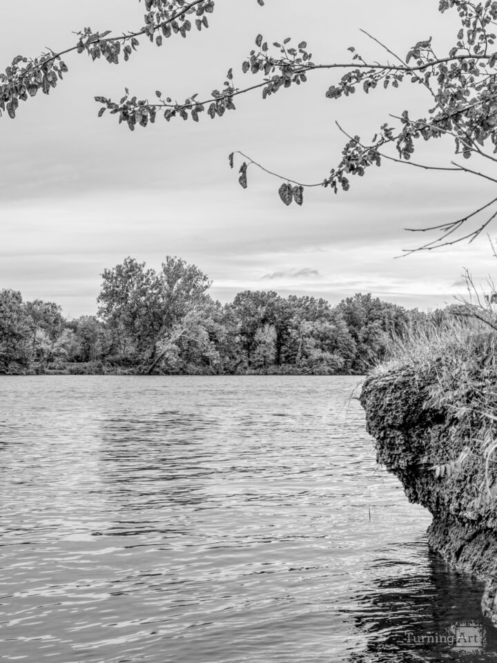 Truman Lake Autumn Whispers Grayscale