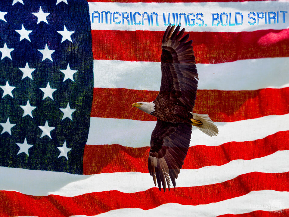 American Wings Bold Spirit