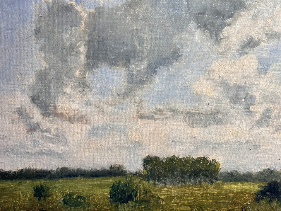 West Branch Forest Preserve, Looking West