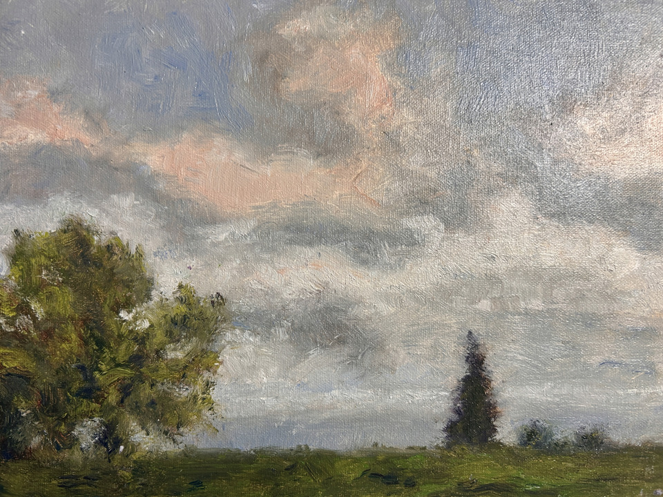 The Trees Have a Word