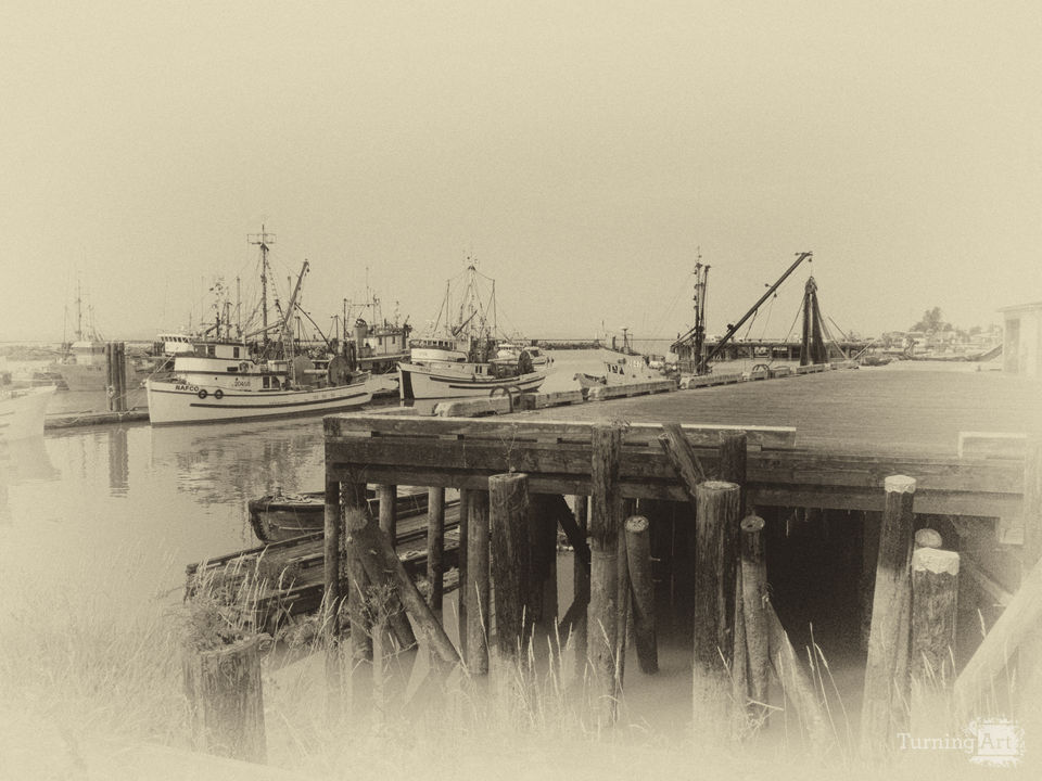 Steveston Harbor 1