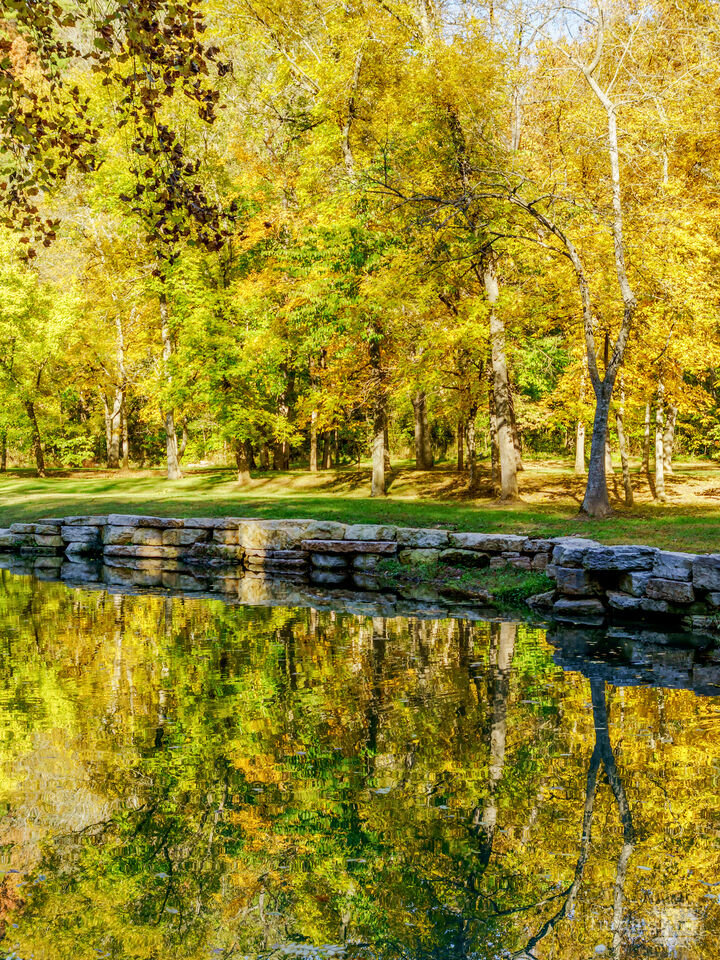 Autumns Golden Mirror