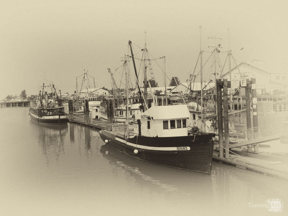 Steveston Harbor 4