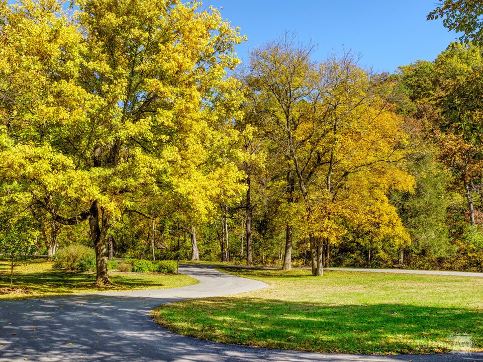 Winding Sidewalk Through Autumn