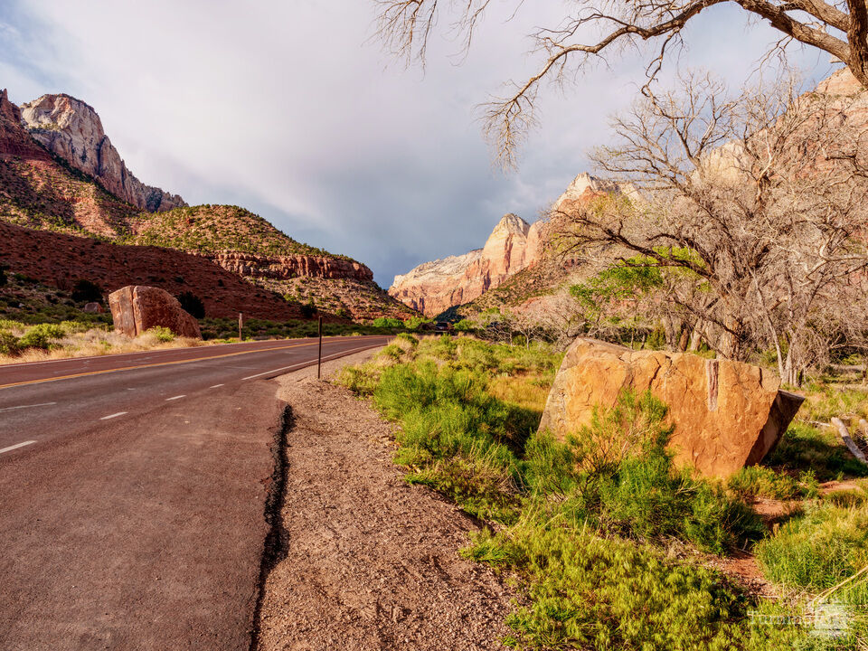 Zion Roadway In The Evening Light