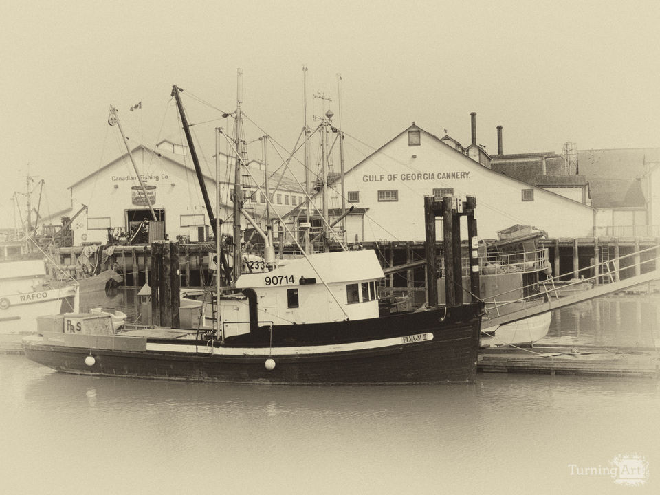 Steveston Harbor 6