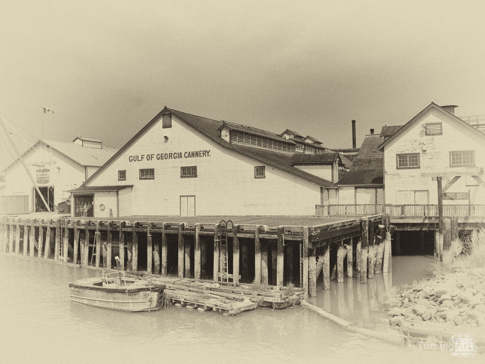 Steveston Harbor 7