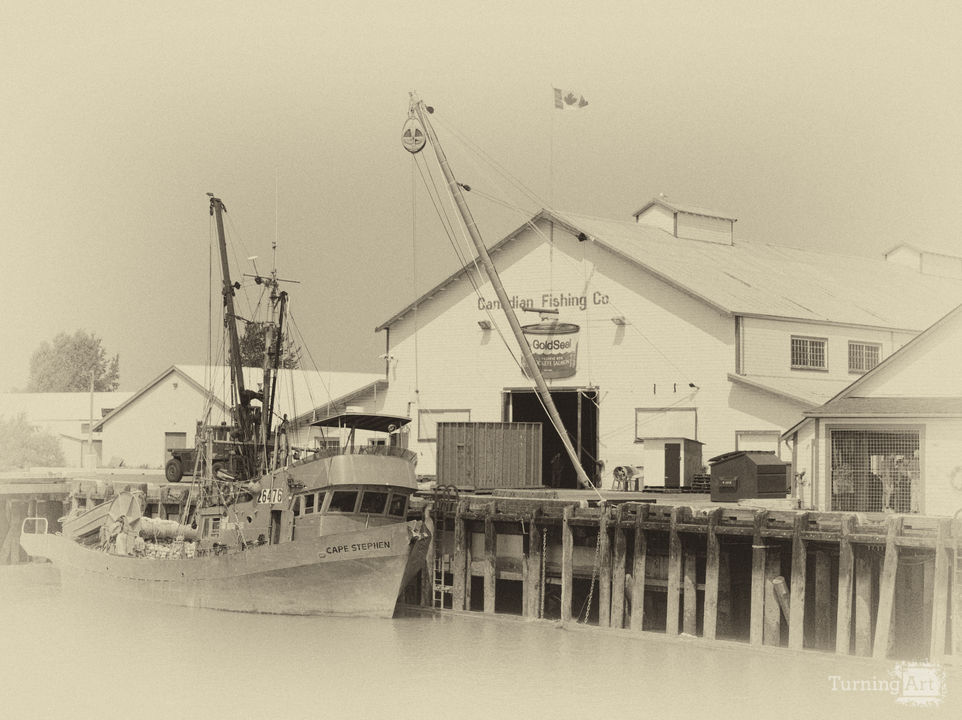 Steveston Harbor 8