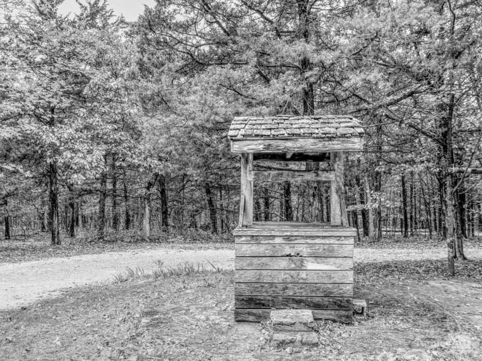Wishing Well Days Of The Past Grayscale