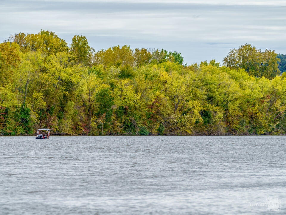 Yellow Trees Truman Lake Shoreline