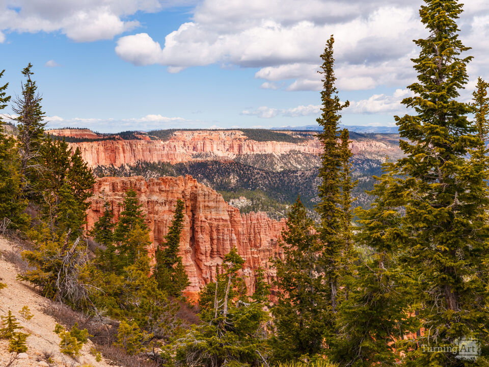 Yovimpa Point Bryce Canyon