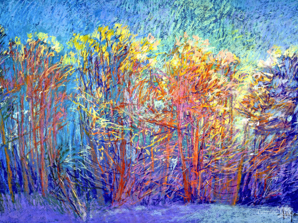 Sparkly in the Woods