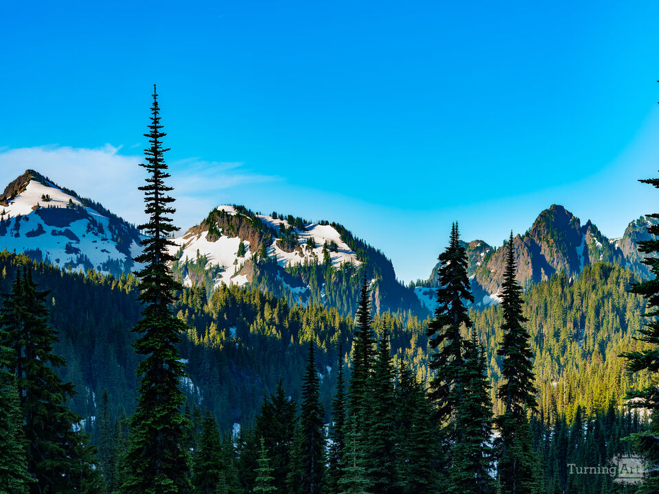 Mount Rainier National Park