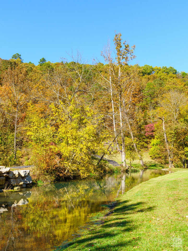 Creek Leads To A Colorful Forest