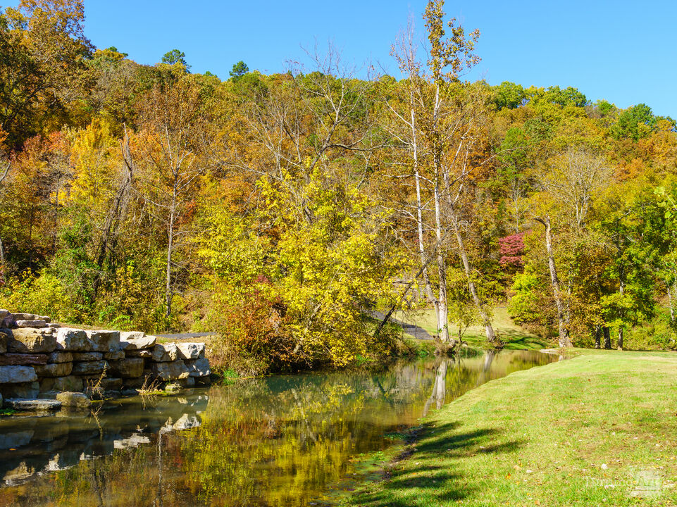 Calm Water And Autumn Colors