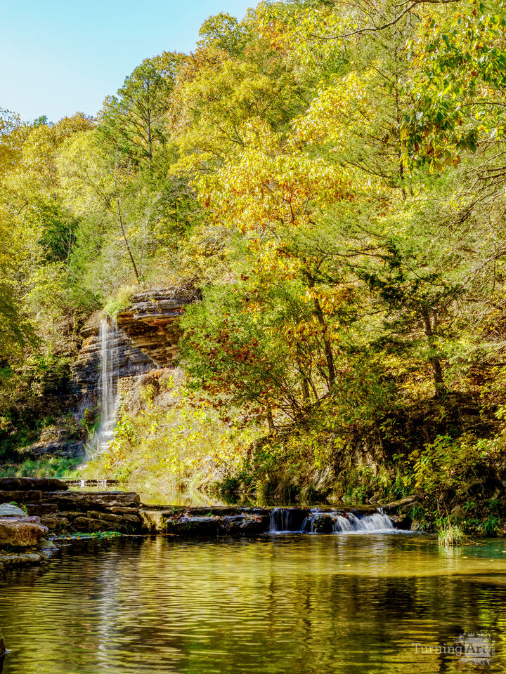 Flowing Waters Golden Leaves