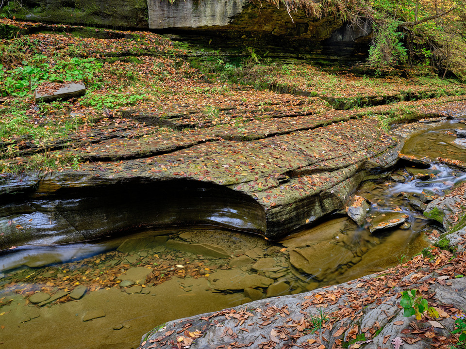 Autumns Fallen Leaves and Brook