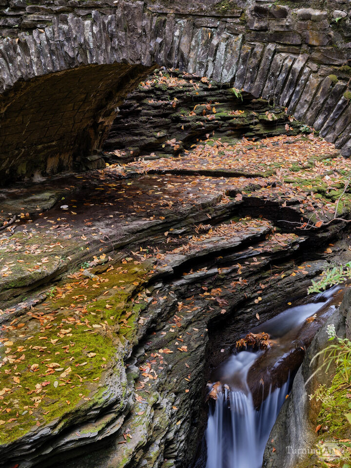 Flowing Cascade over a autumn leaf covered ledge