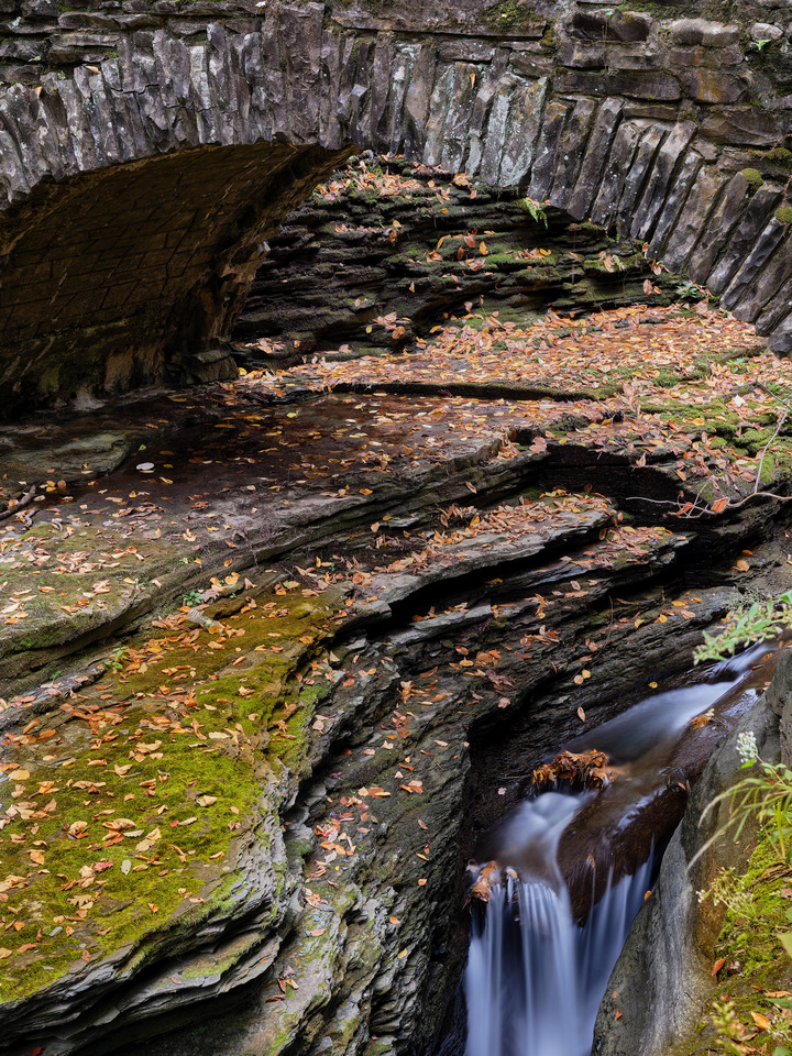 Flowing Cascade over a autumn leaf covered ledge