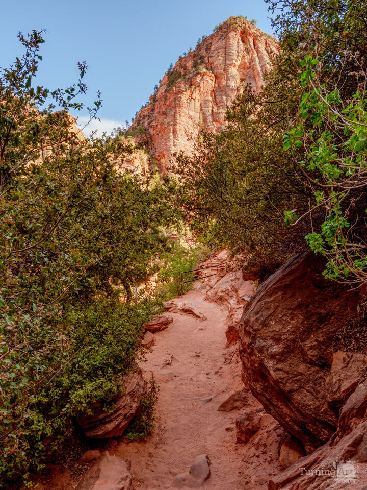 Pathway To The Majestic Zion Canyon