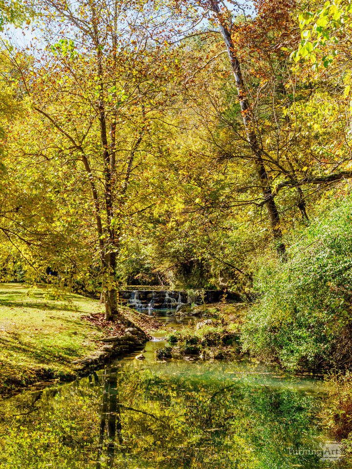 Golden Stillness in Lampe Missouri