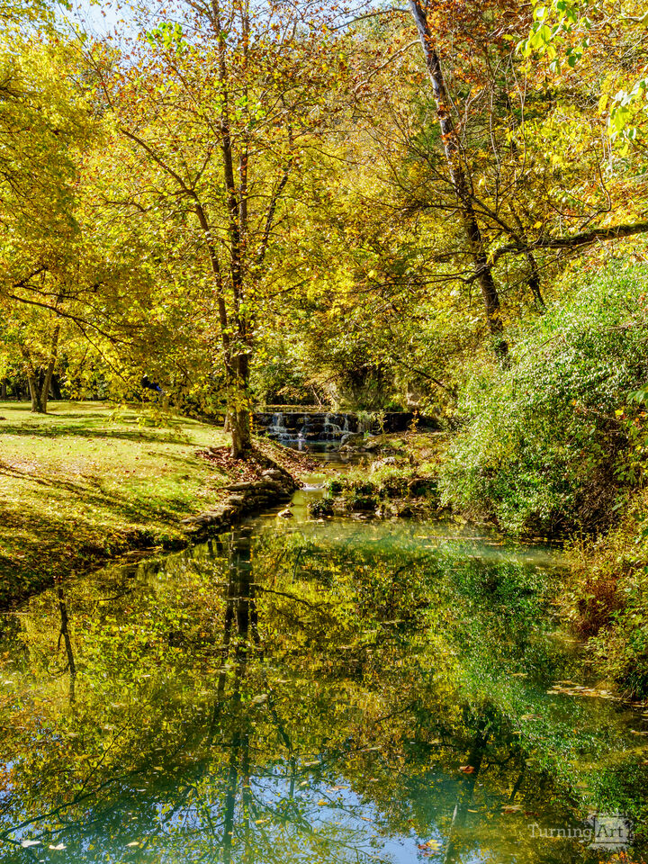 Seeing Double On Dogwood Creek