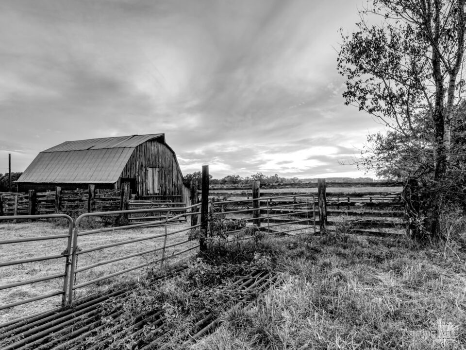 Ozarks Barn October Sunset Grayscale