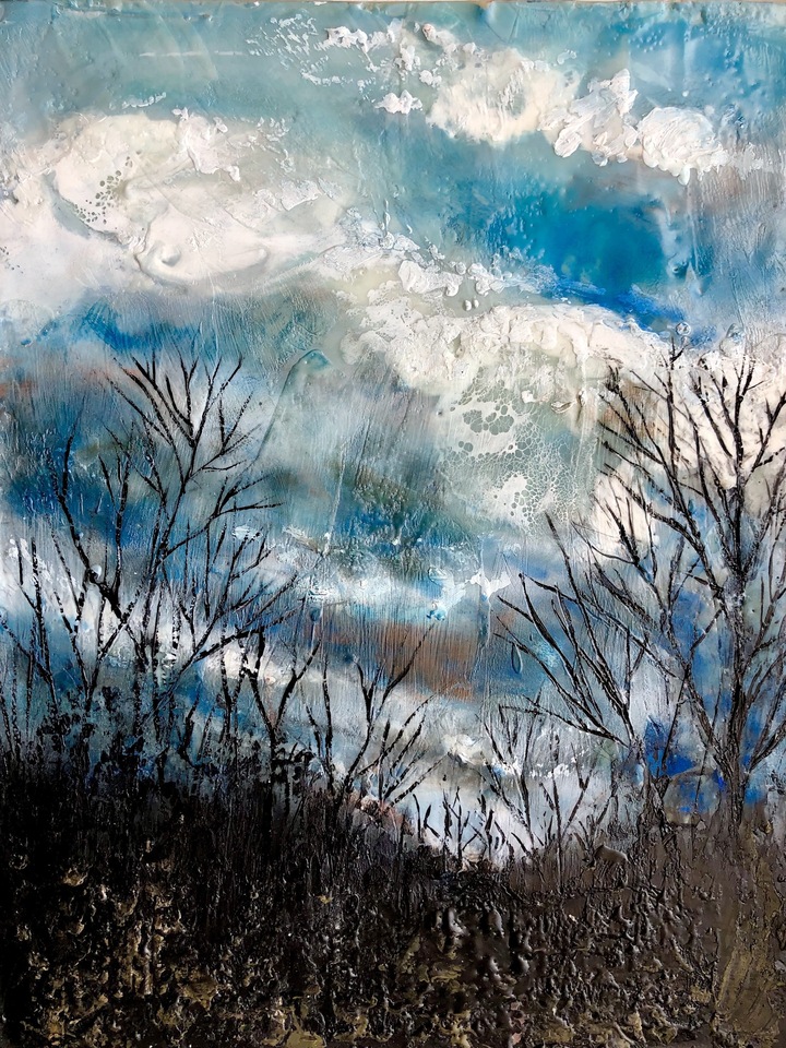 Winter View From My Bedroom At Dusk