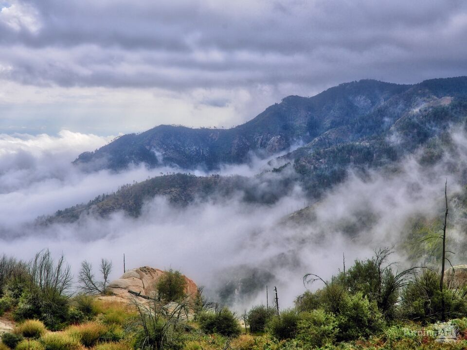 Cloud Inversion Catalina Mountains