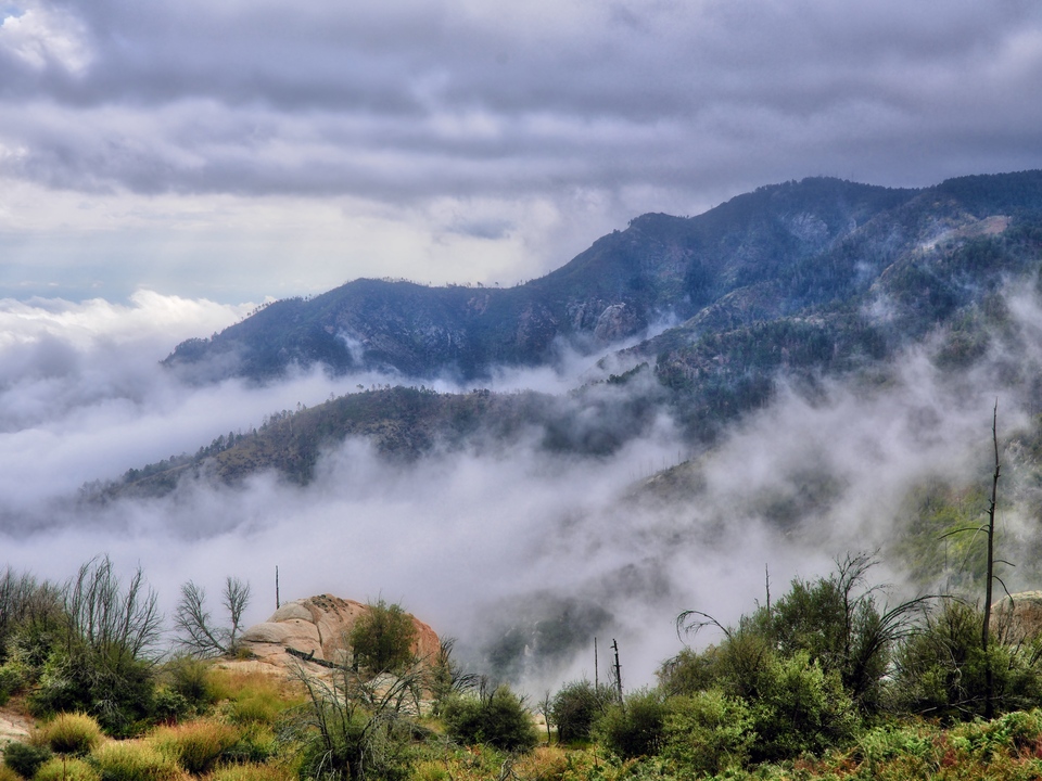Cloud Inversion Catalina Mountains