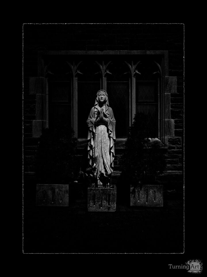 Mad Donna No 1 with Border