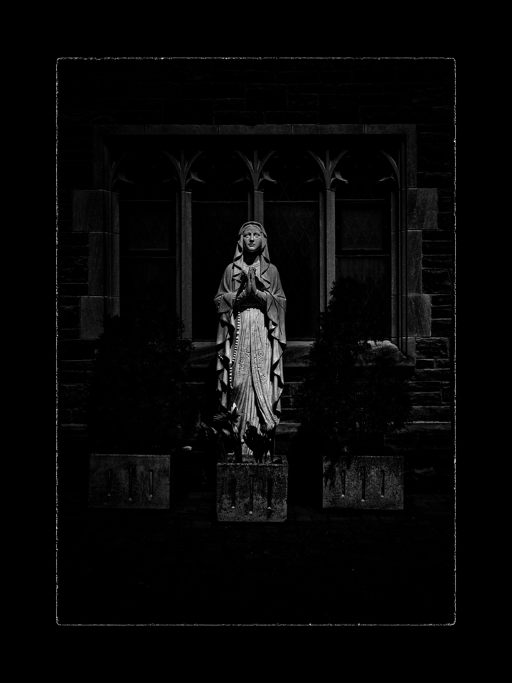 Mad Donna No 1 with Border