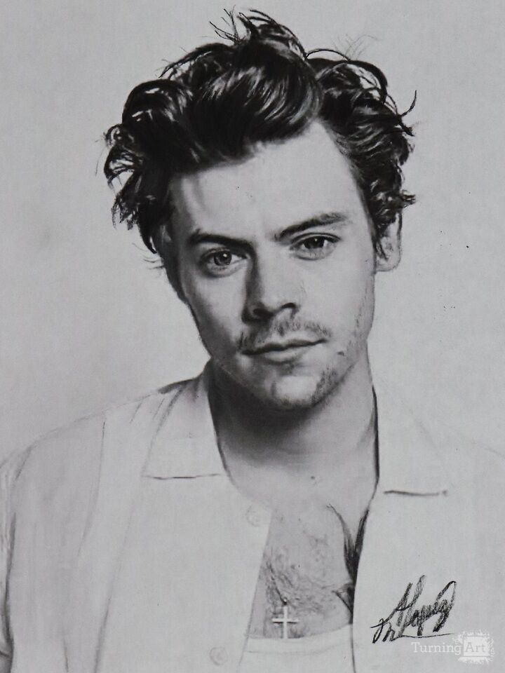 Harry Styles 
