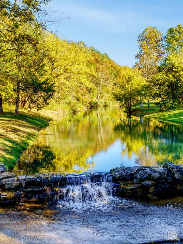 Autumn Season Reflections At Dogwood