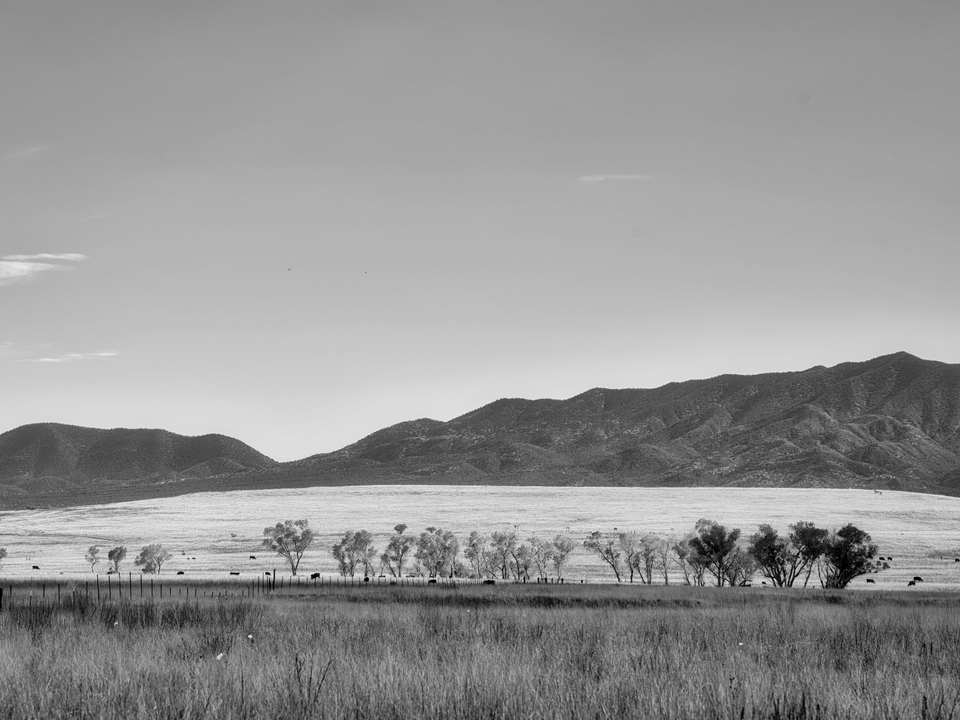 San Rafael Valley Landscape BW#1