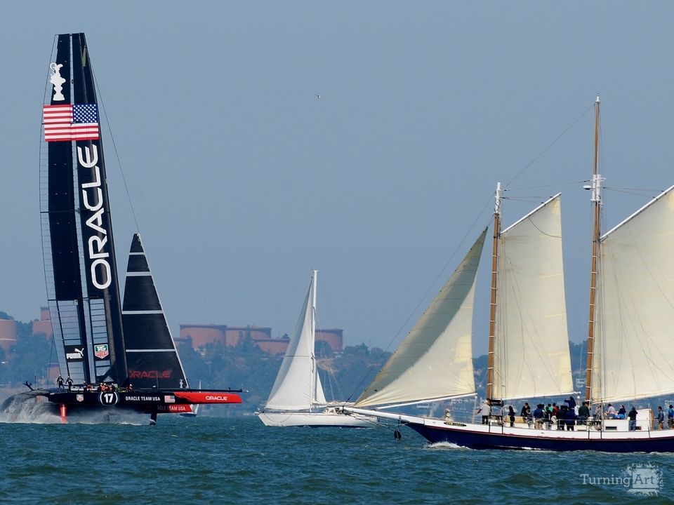 America's Cup  2013 Artist Favorite #2