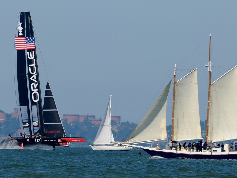 America's Cup  2013 Artist Favorite #2