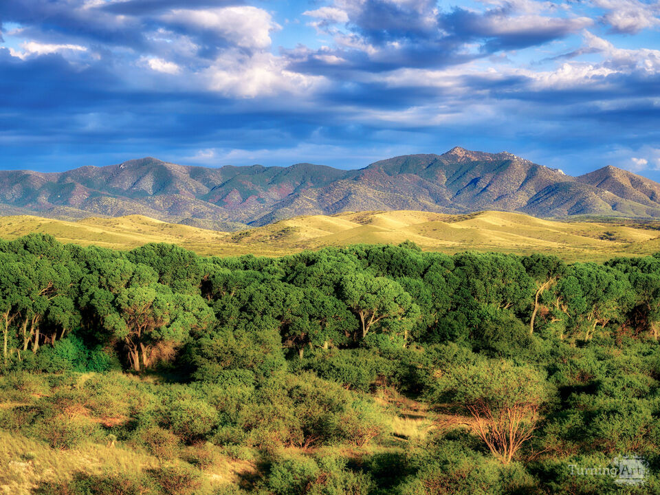 Las Cienegas Great View
