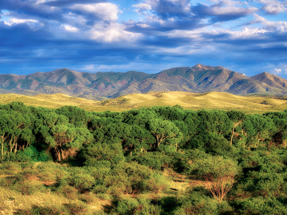 Las Cienegas Great View