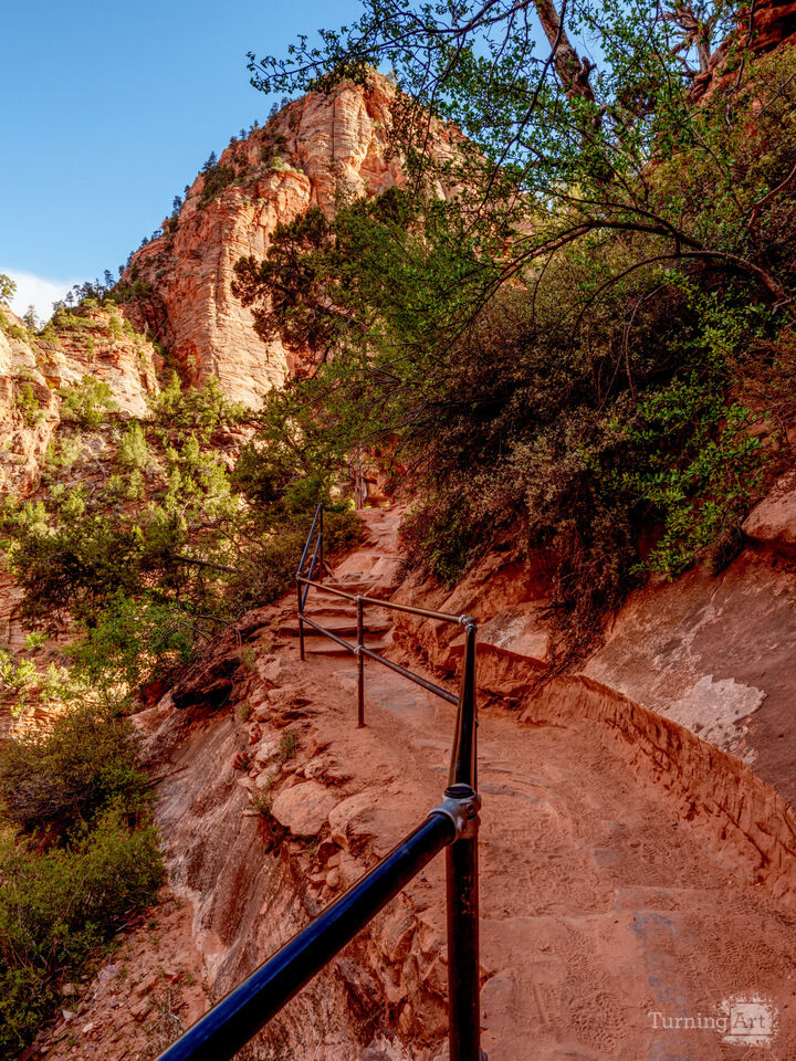A Pathway To Zion Canyon Overlook