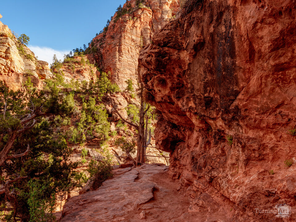 Around the Corner At Zion