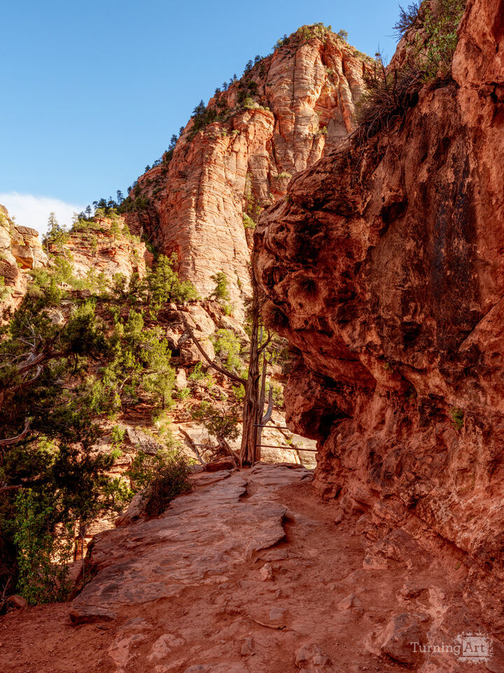 Around the Corner At Zion Vertical